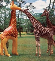 /album/galeria-de-fotos-mundo-animal/animais-10-jpg/